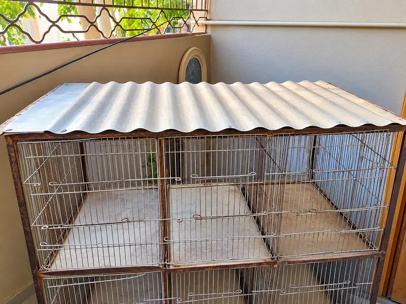 Pinjra (cage) — photo 2