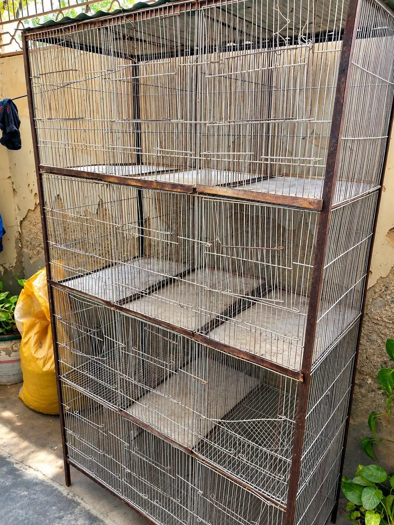 Pinjra (cage) — photo 3