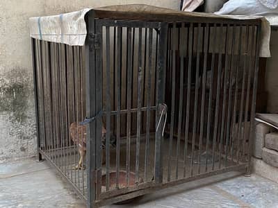 cages for sale