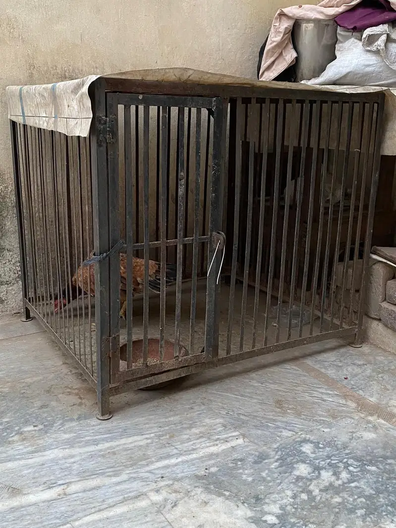 cages for sale — photo 3