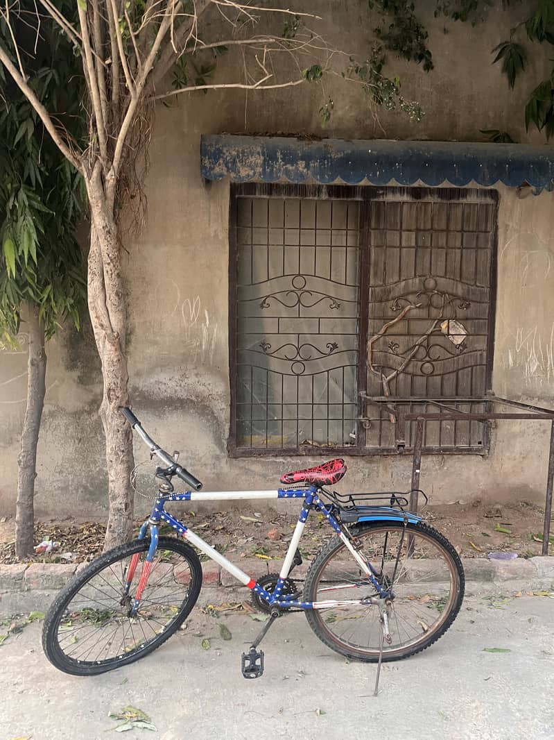 Bicycle 1