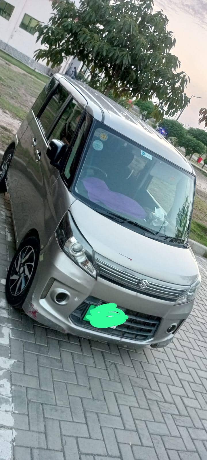 specia custom 1