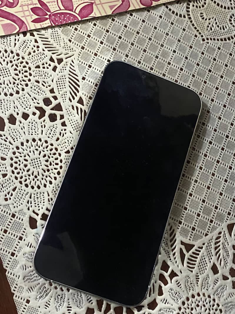 Apple iPhone 13 Pro Max 1