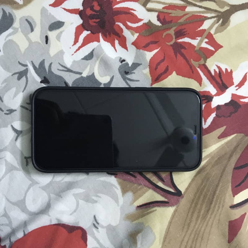 Apple iPhone 12 Pro 1