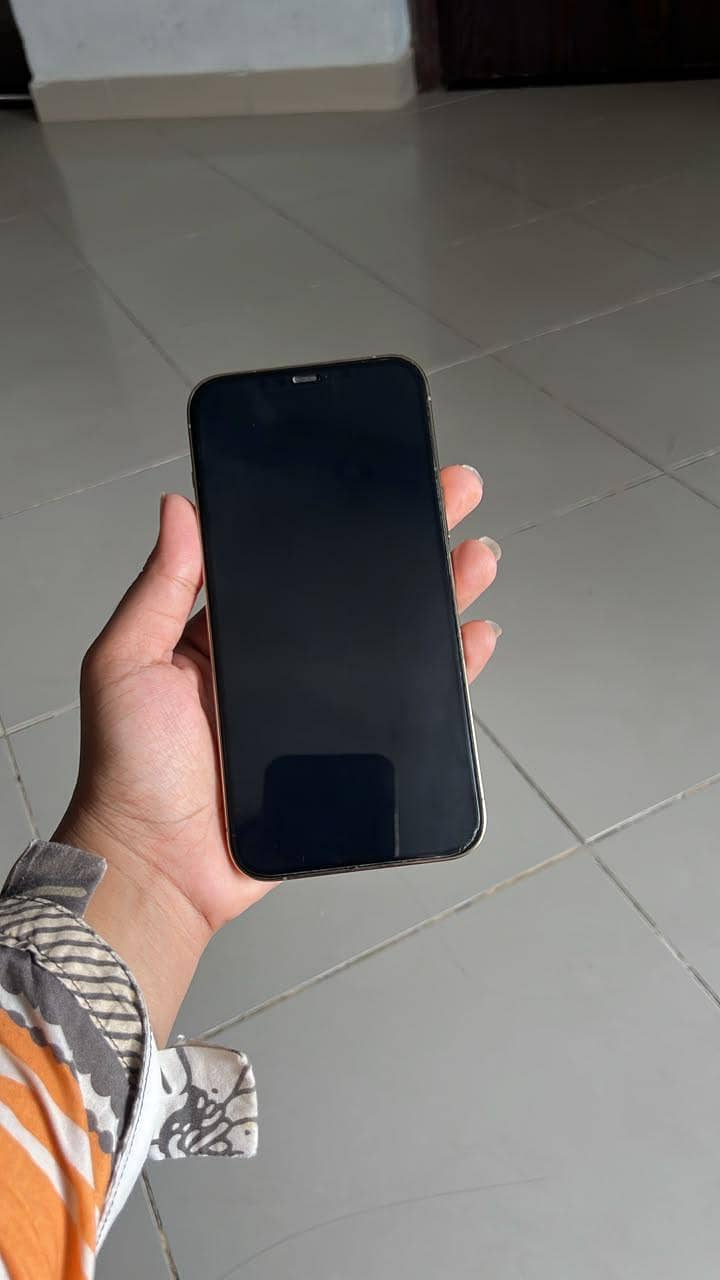 Apple iPhone 12 Pro Max 3