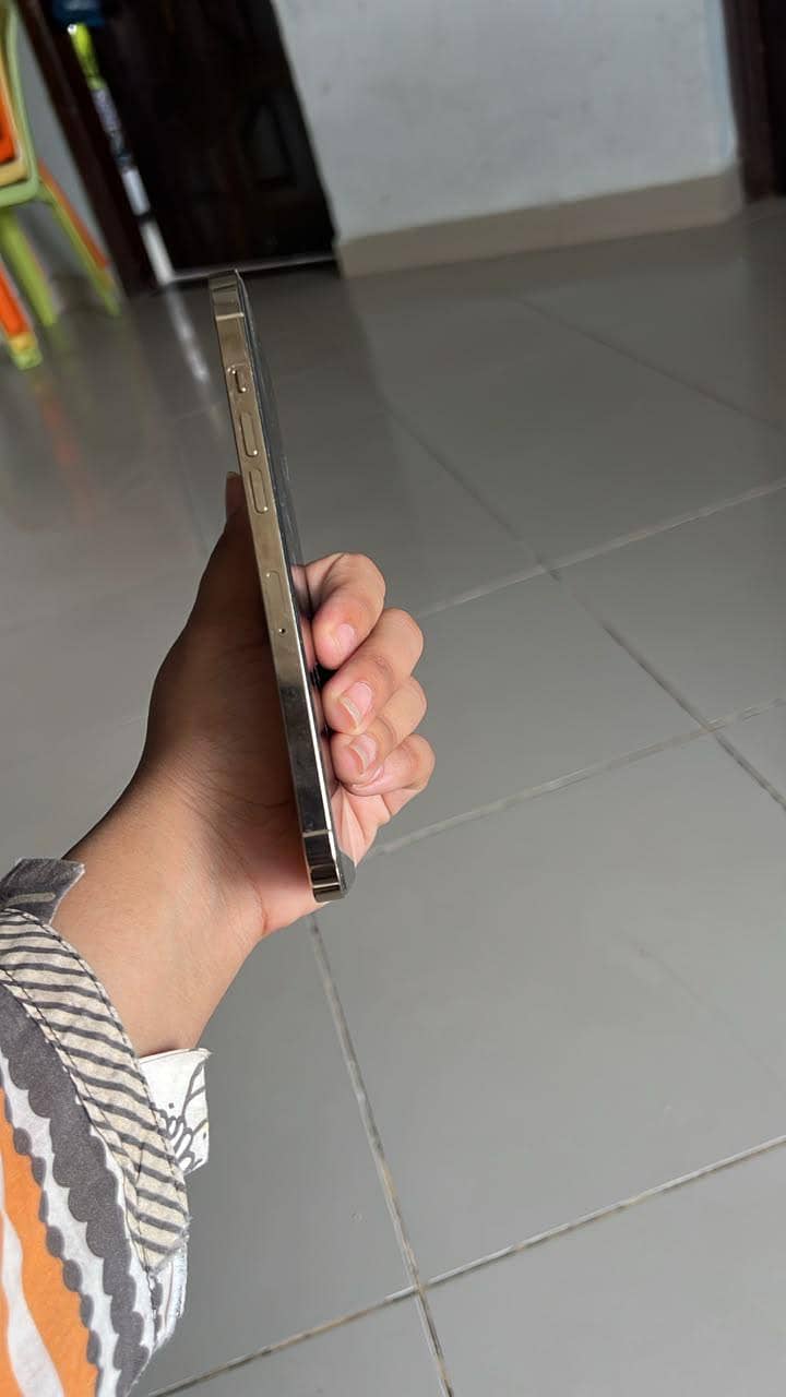 Apple iPhone 12 Pro Max 5