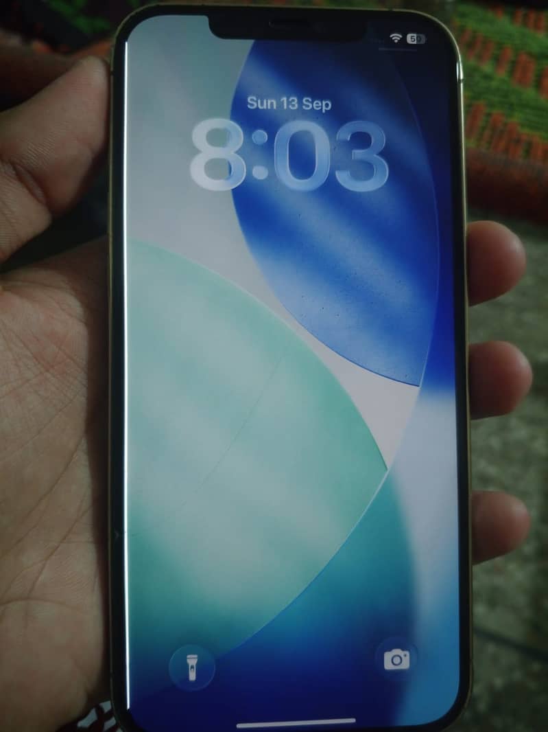 Apple iPhone 12 Pro Max 1