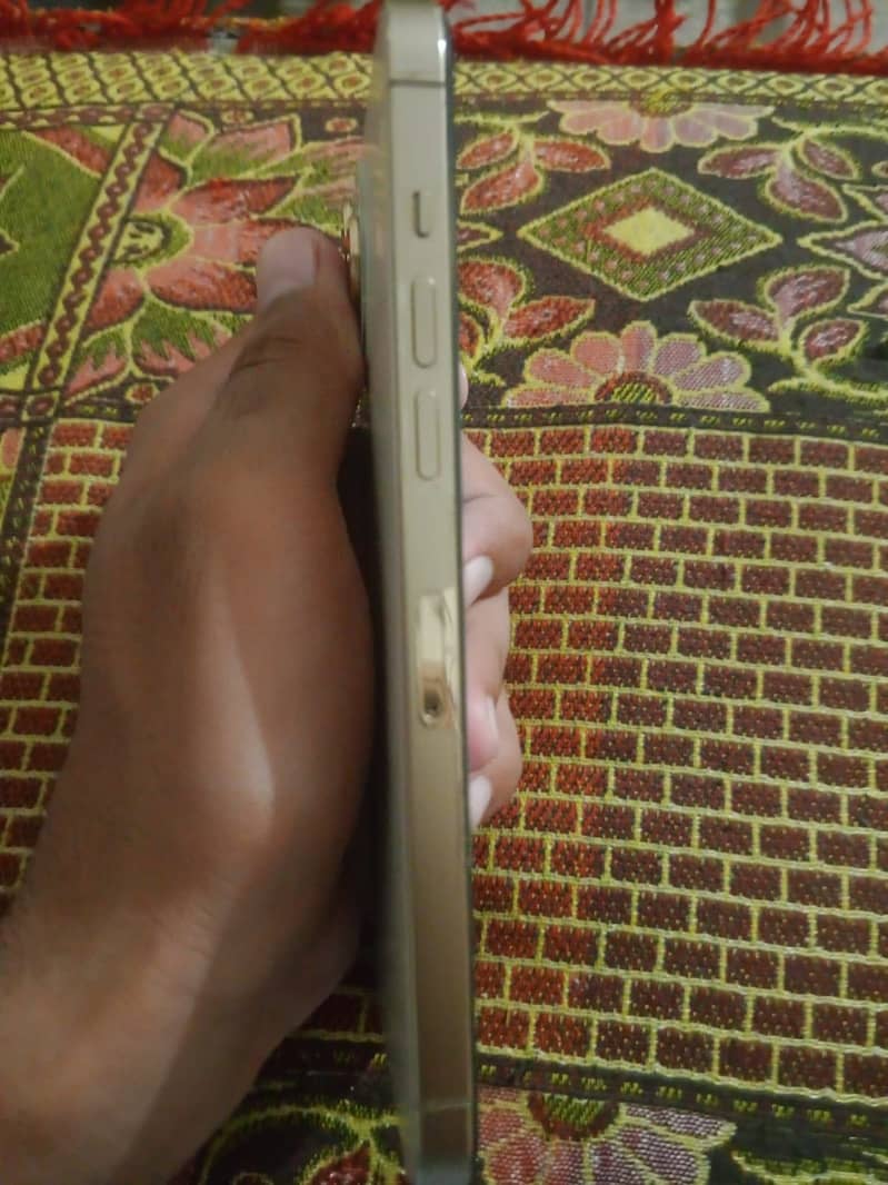 Apple iPhone 12 Pro Max 2