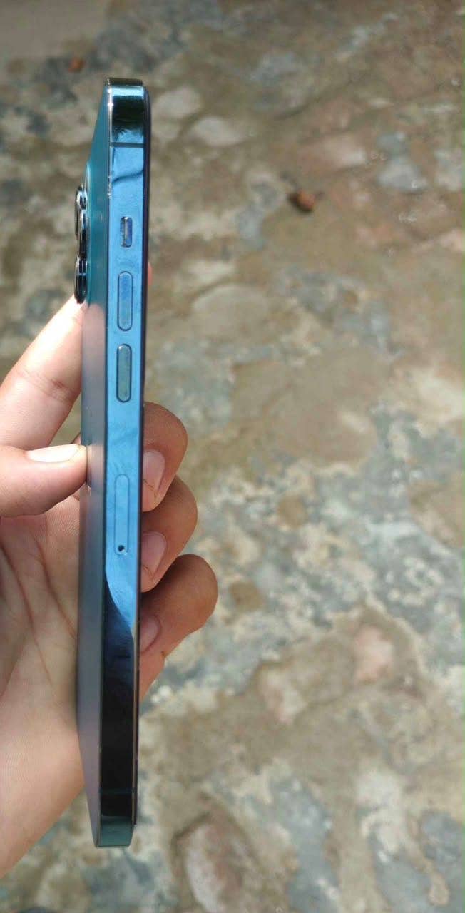 Apple iPhone 12 Pro Max 1