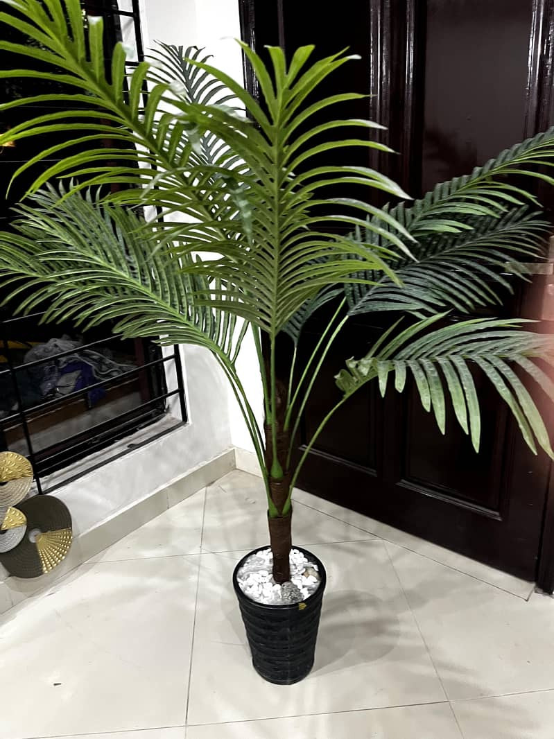 Artificial 5ft Plant 0
