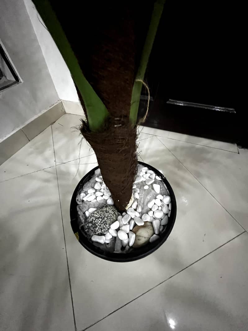 Artificial 5ft Plant 1