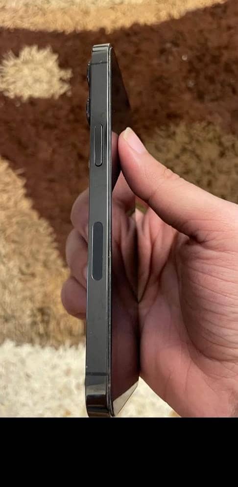 Apple iPhone 13 Pro Max 1