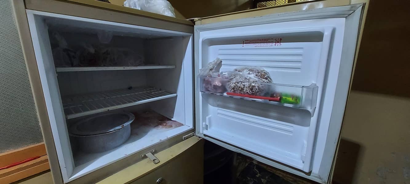 PEL FRIDGE 0