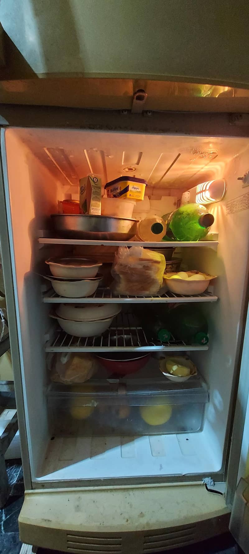 PEL FRIDGE 1