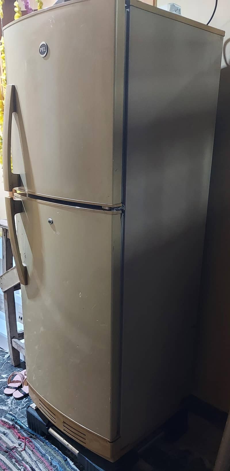 PEL FRIDGE 2