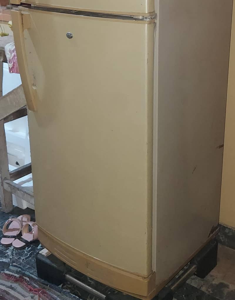 PEL FRIDGE 5