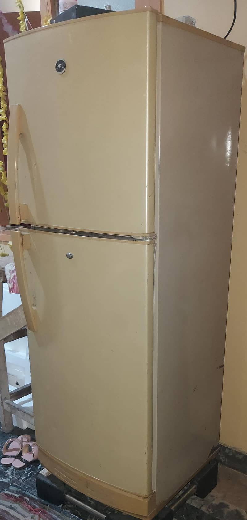 PEL FRIDGE 7