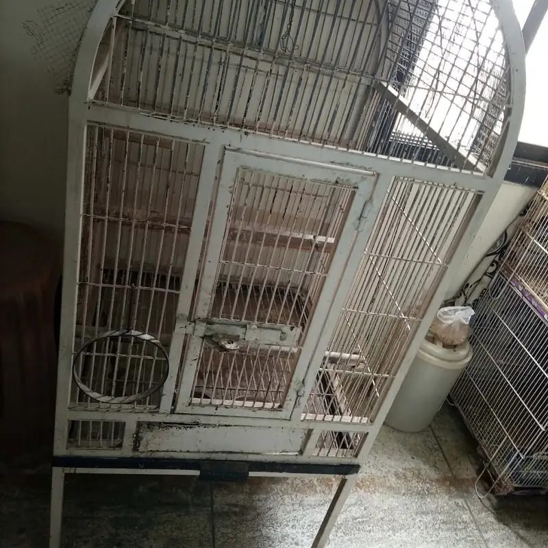 Parrot cage / cage — photo 2
