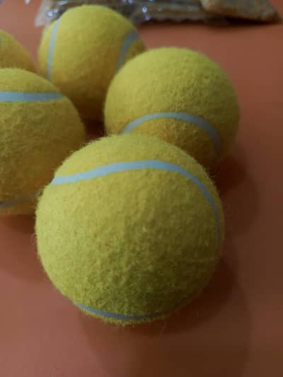 Cricket Ball premium Quality