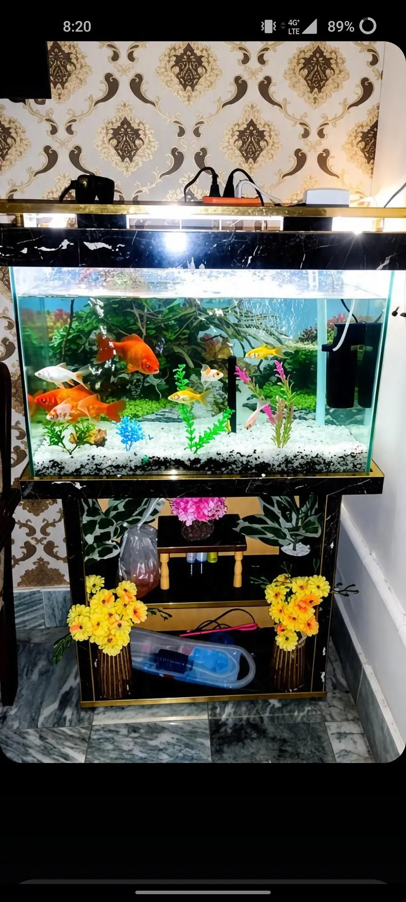 2 big sales and 7 small fishes