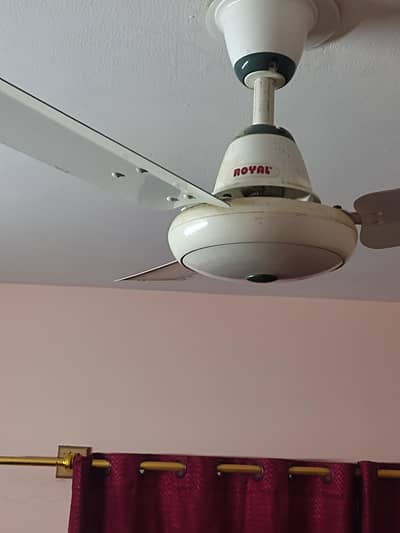 Royal Fan