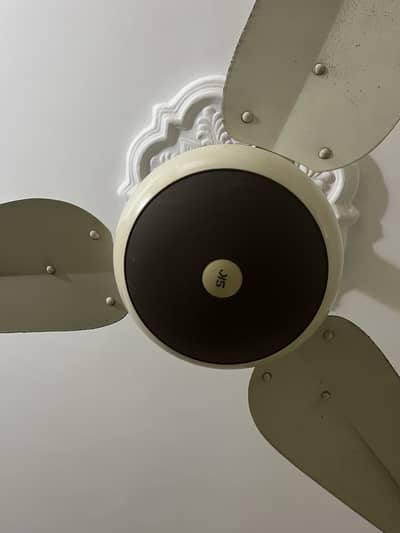 Fan reasonable price