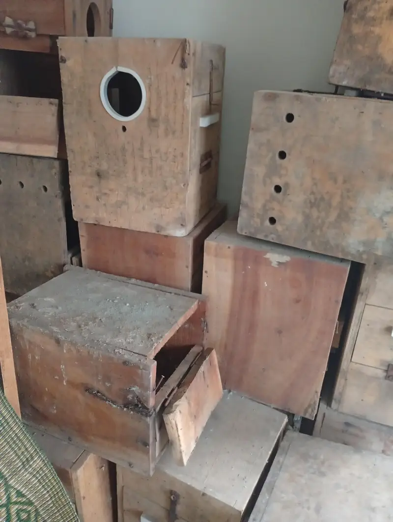 Wooden Breeding Boxes for sale — photo 2