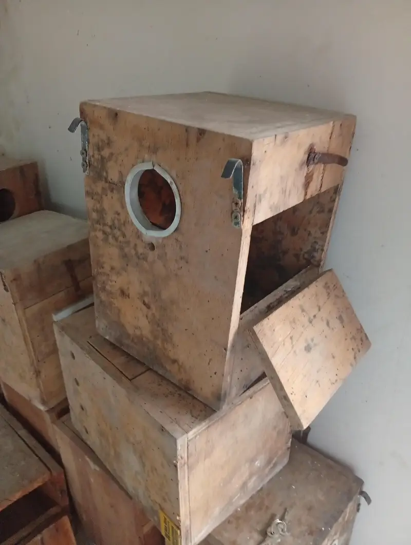 Wooden Breeding Boxes for sale — photo 3