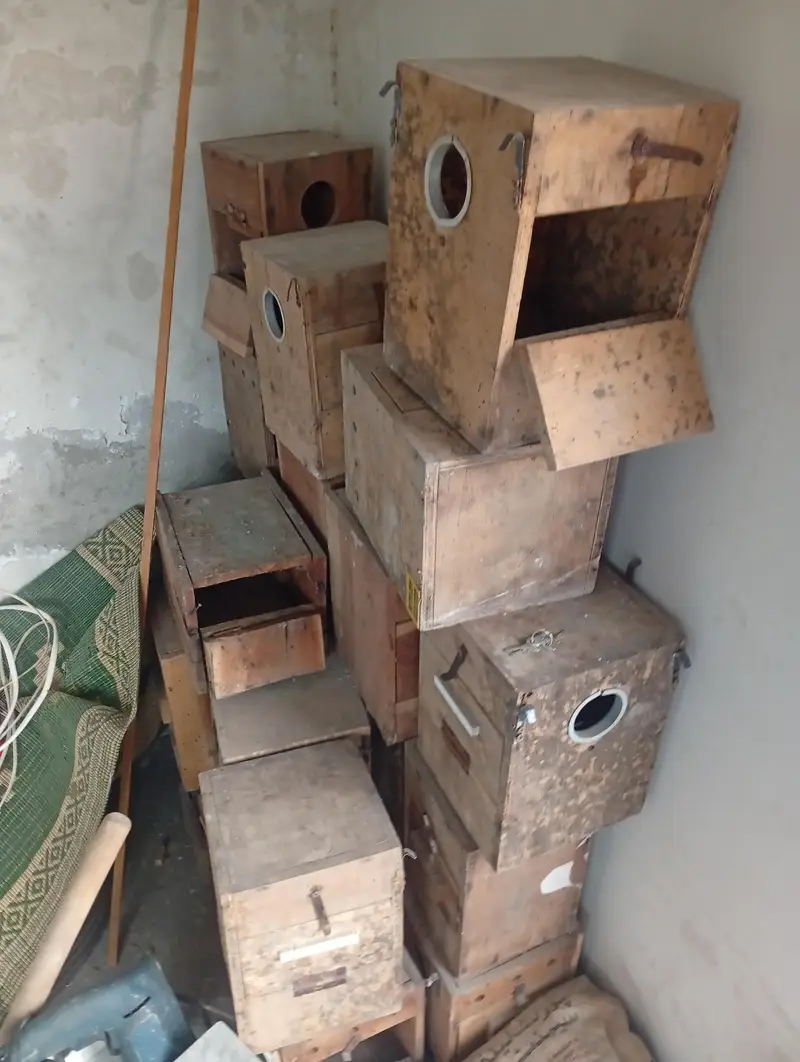 Wooden Breeding Boxes for sale — photo 4