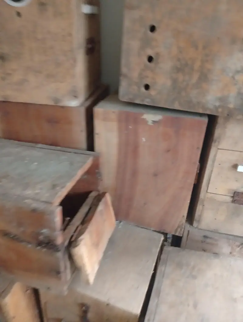 Wooden Breeding Boxes for sale — photo 5