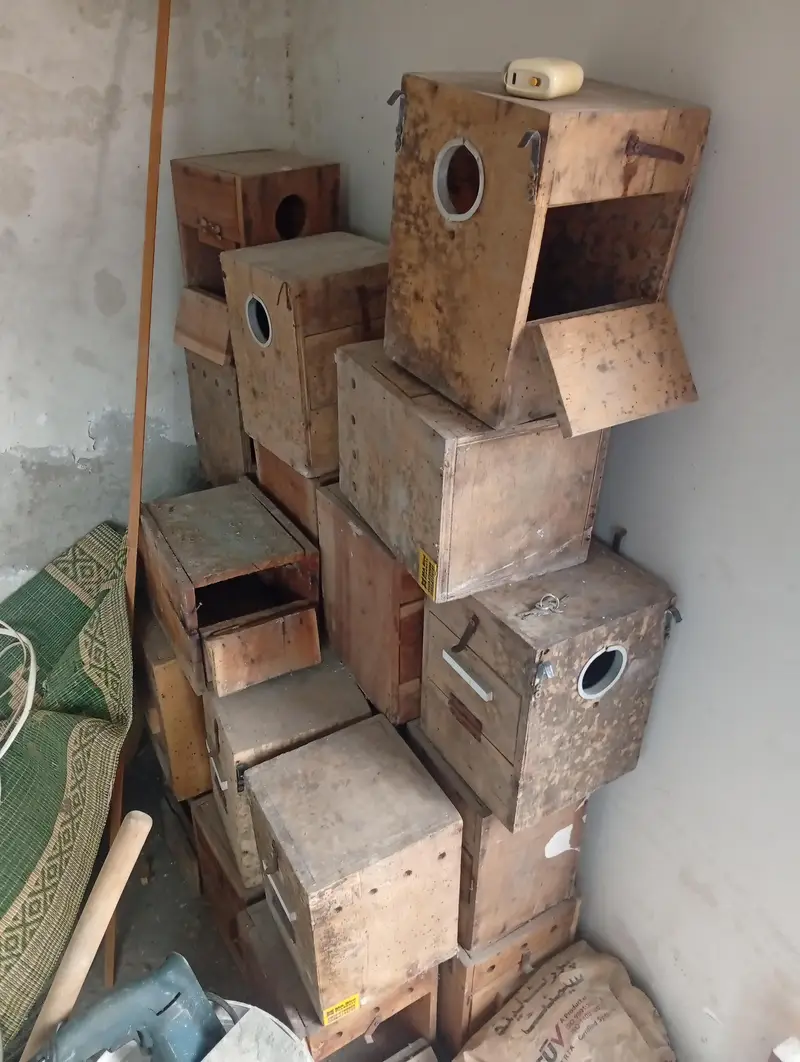 Wooden Breeding Boxes for sale — photo 6