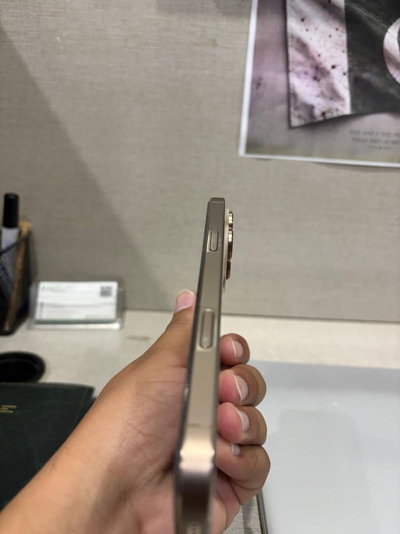 Apple iPhone 16 Pro Max 3