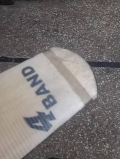 cricket bat