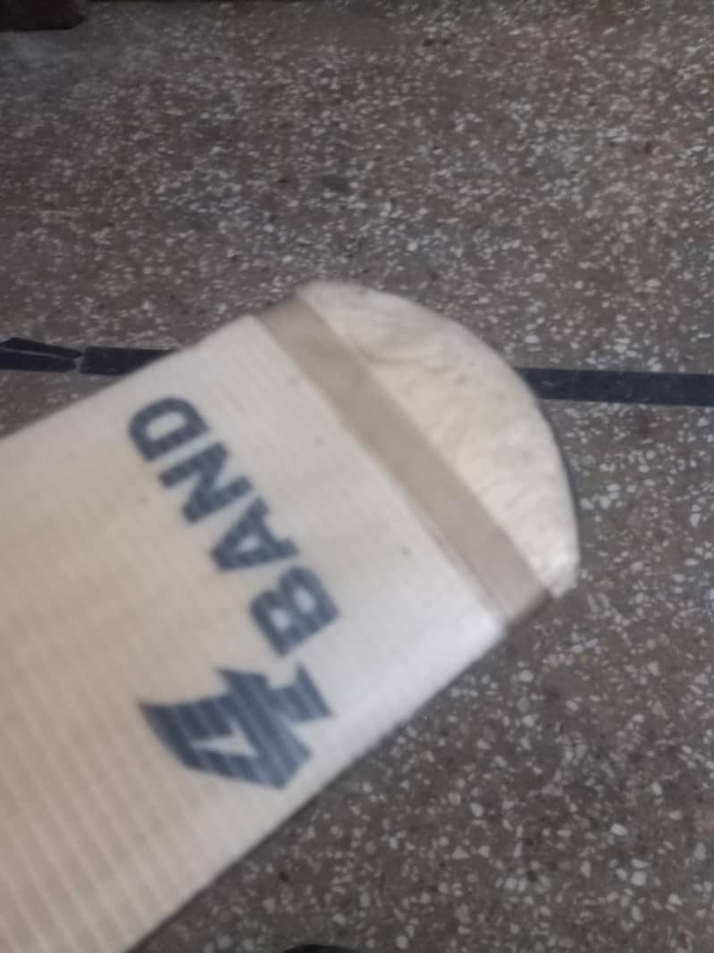 cricket bat 0