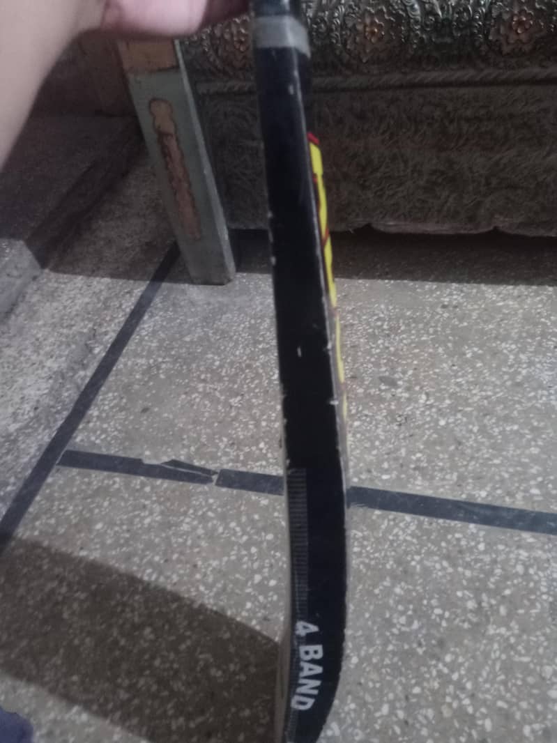 cricket bat 1