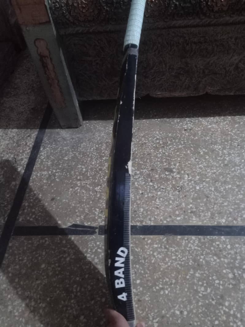 cricket bat 2