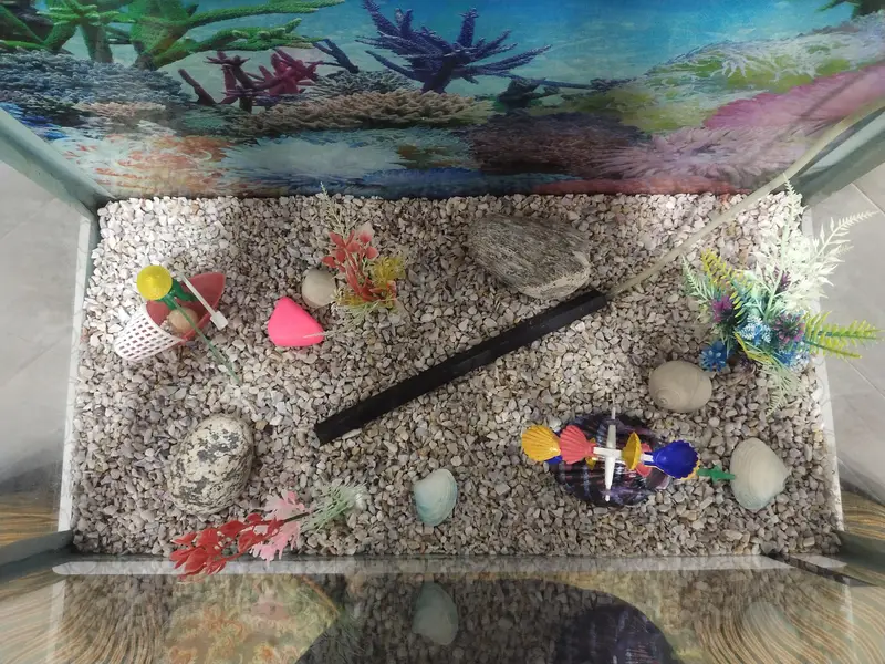 Fish Aquarium — photo 3