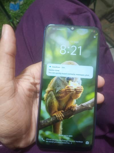 Vivo Y17s