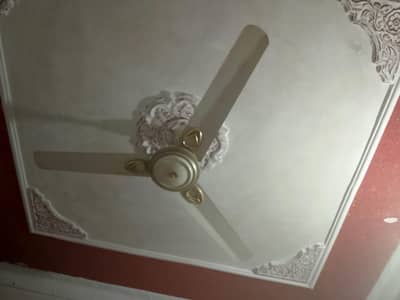 4fan  for sale
