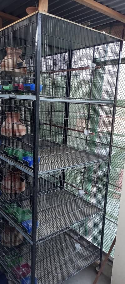 cocktails and conure lovebirds cages