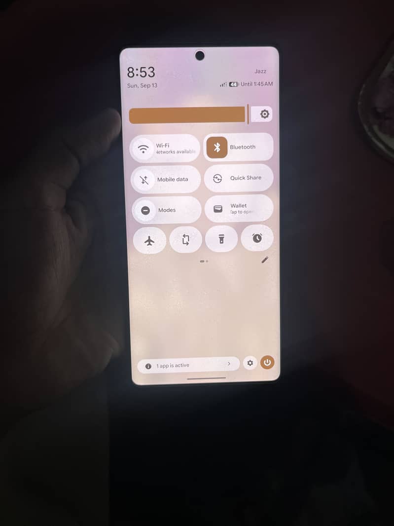 Google Pixel 7 Pro 1