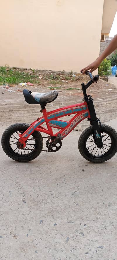 Morgan Chicago  cycle 16 size for sale