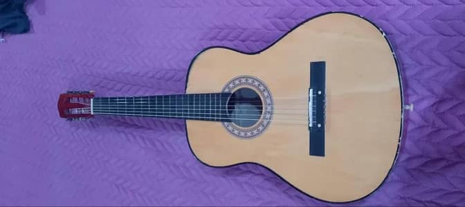 beginer guitor for sale