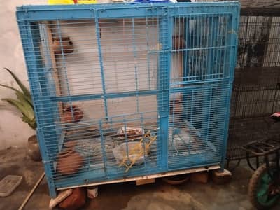 CLONY CAGE