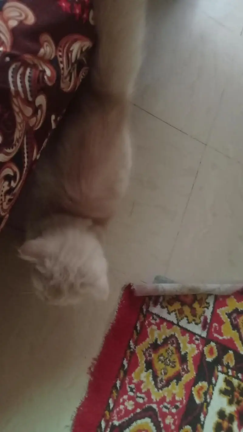 mother with 2 baby — photo 2