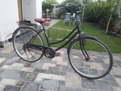 Japanese 26 inch