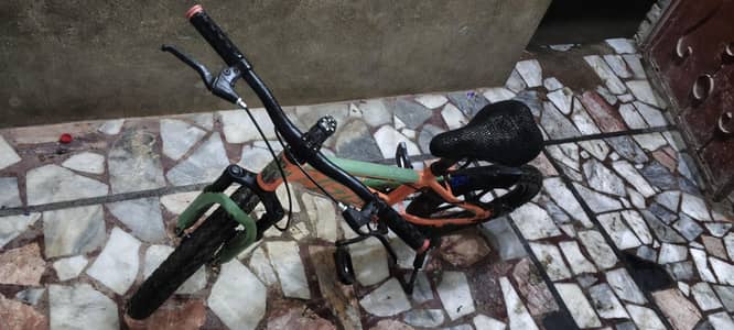vezel bicycle for kids