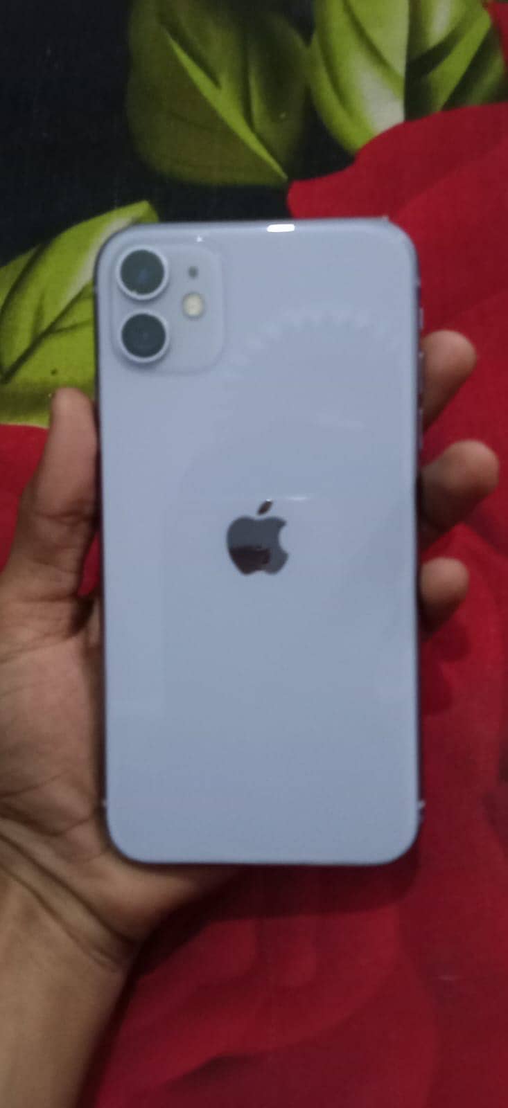 Apple iPhone 11 0