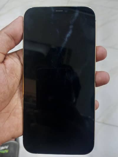 Apple iPhone 12 Pro Max