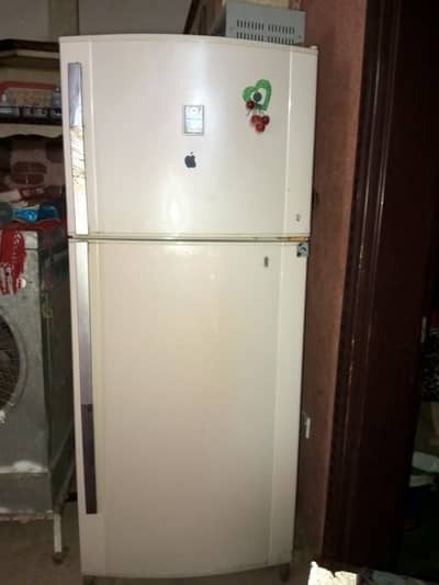 In an open and spacious refrigerator